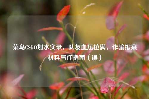 菜鸟CSGO划水实录,队友血压拉满,诈骗报案材料写作指南(误)