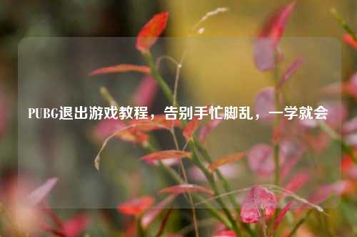 PUBG退出游戏教程，告别手忙脚乱，一学就会
