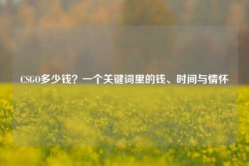 CSGO多少钱?一个关键词里的钱、时间与情怀