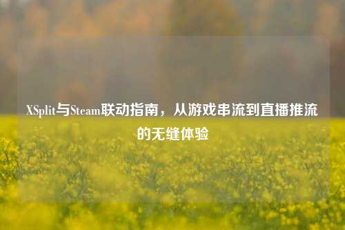 XSplit与Steam联动指南,从游戏串流到直播推流的无缝体验