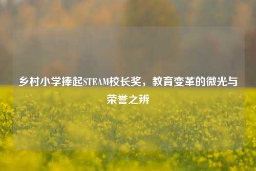 乡村小学捧起STEAM校长奖,教育变革的微光与荣誉之辨