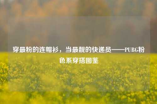 穿最粉的连帽衫，当最靓的快递员——PUBG粉色系穿搭图鉴