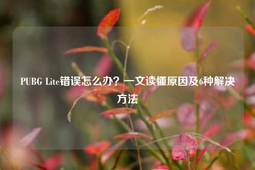 PUBG Lite错误怎么办?一文读懂原因及6种解决方法