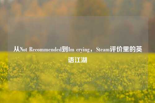 从Not Recommended到Im crying，Steam评价里的英语江湖