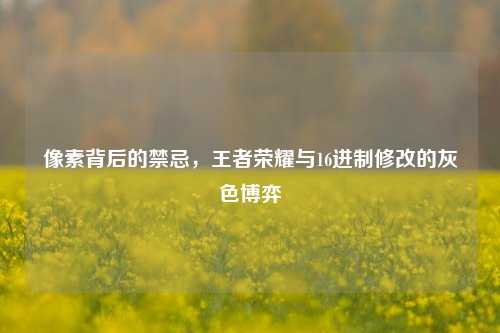 像素背后的禁忌，王者荣耀与16进制修改的灰色博弈