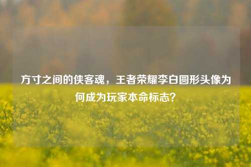 方寸之间的侠客魂，王者荣耀李白圆形头像为何成为玩家本命标志？