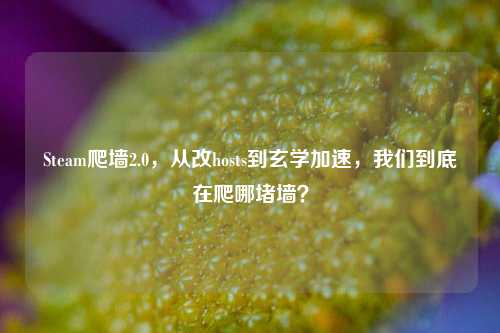 Steam爬墙2.0,从改hosts到玄学加速,我们到底在爬哪堵墙?