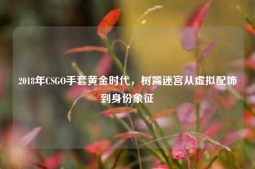 2018年CSGO手套黄金时代，树篱迷宫从虚拟配饰到身份象征