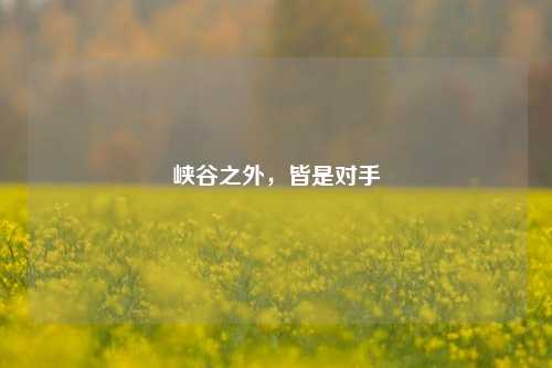 峡谷之外，皆是对手