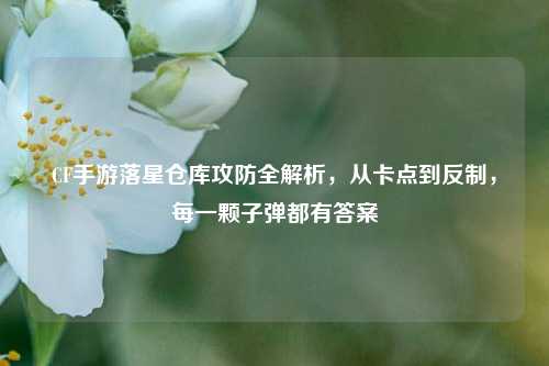 CF手游落星仓库攻防全解析,从卡点到反制,每一颗子弹都有答案