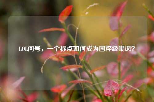 LOL问号，一个标点如何成为国粹级嘲讽？