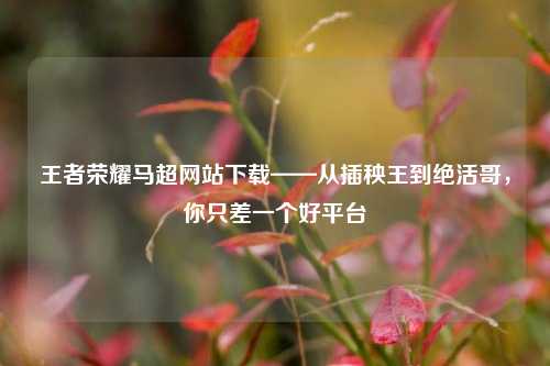 王者荣耀马超网站下载——从插秧王到绝活哥，你只差一个好平台