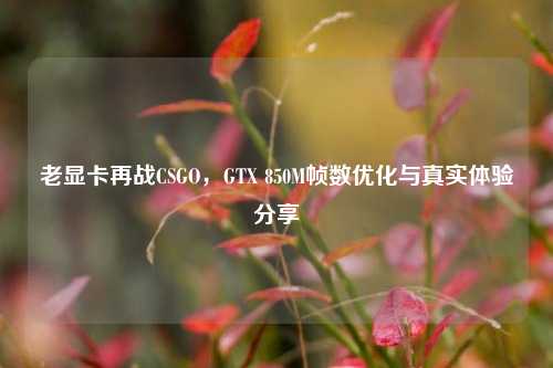 老显卡再战CSGO，GTX 850M帧数优化与真实体验分享