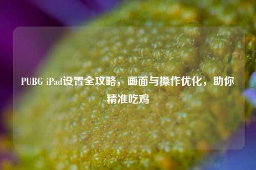 PUBG iPad设置全攻略，画面与操作优化，助你精准吃鸡