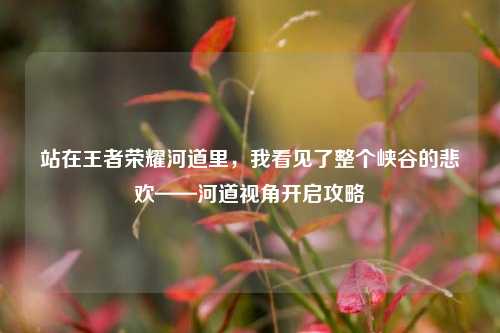 站在王者荣耀河道里，我看见了整个峡谷的悲欢——河道视角开启攻略