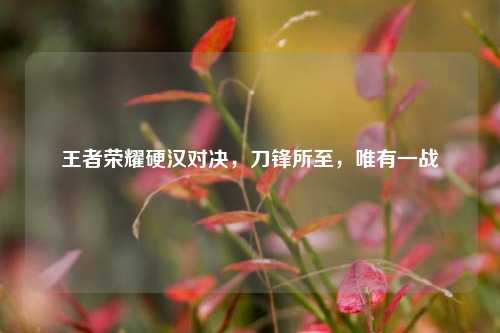 王者荣耀硬汉对决,刀锋所至,唯有一战