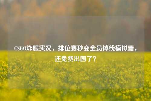 CSGO炸服实况，排位赛秒变全员掉线模拟器，还免费出国了？