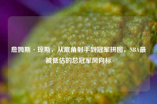 詹姆斯·琼斯，从底角射手到冠军拼图，NBA最被低估的总冠军风向标