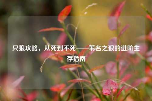 只狼攻略，从死到不死——苇名之狼的进阶生存指南