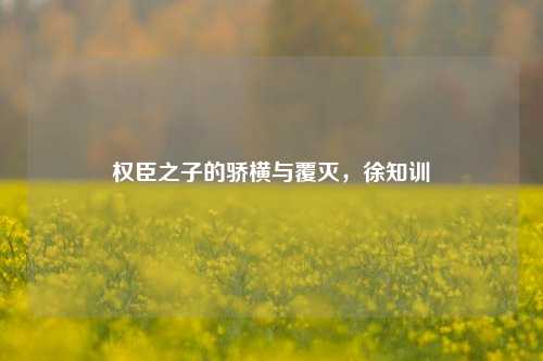 权臣之子的骄横与覆灭，徐知训