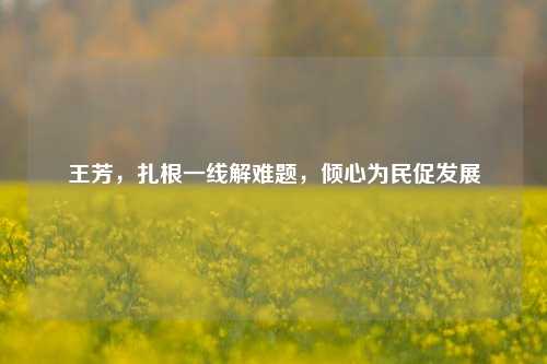 王芳，扎根一线解难题，倾心为民促发展