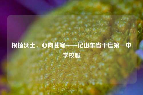根植沃土，心向苍穹——记山东省平度第一中学校服