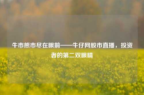 牛市熊市尽在眼前——牛仔网股市直播，投资者的第二双眼睛
