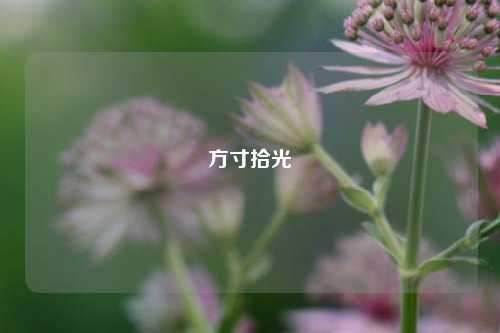 方寸拾光