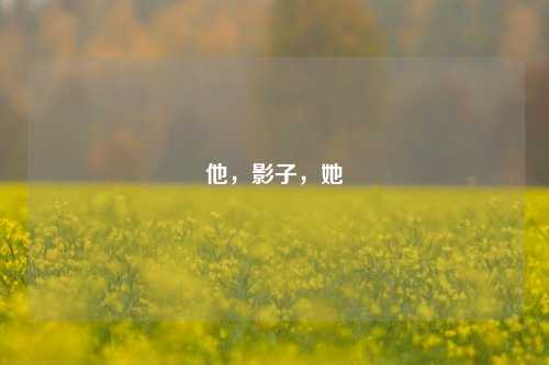 他，影子，她