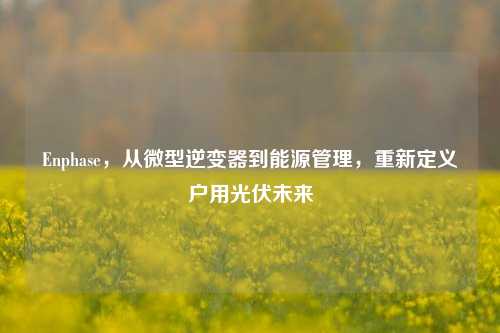 Enphase，从微型逆变器到能源管理，重新定义户用光伏未来