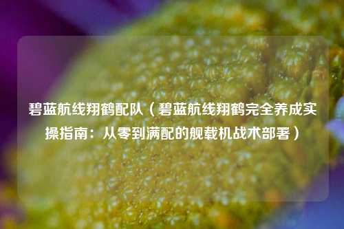 碧蓝航线翔鹤配队（碧蓝航线翔鹤完全养成实操指南：从零到满配的舰载机战术部署）