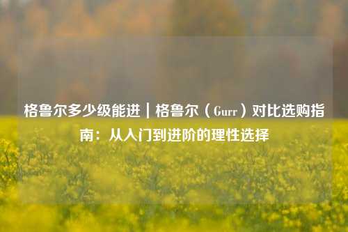 格鲁尔多少级能进｜格鲁尔（Gurr）对比选购指南：从入门到进阶的理性选择