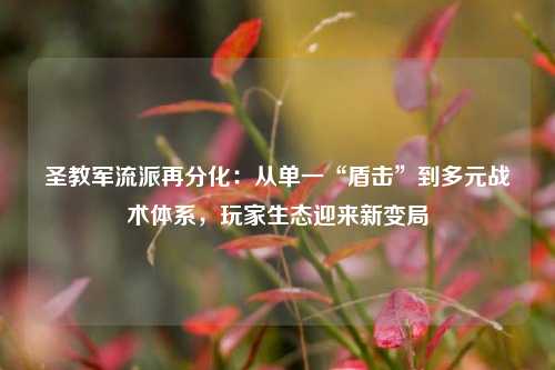 圣教军流派再分化：从单一“盾击”到多元战术体系，玩家生态迎来新变局