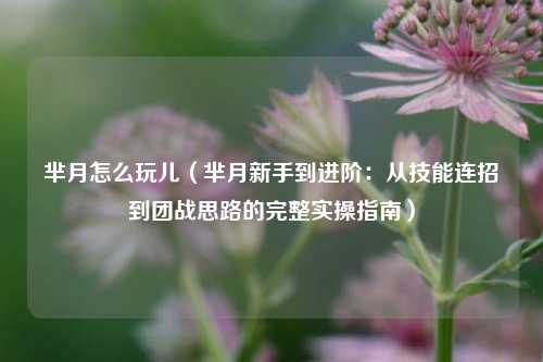 芈月怎么玩儿（芈月新手到进阶：从技能连招到团战思路的完整实操指南）