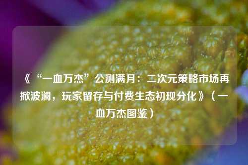 《“一血万杰”公测满月：二次元策略市场再掀波澜，玩家留存与付费生态初现分化》（一血万杰图鉴）