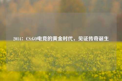 2014：CS:GO电竞的黄金时代，见证传奇诞生