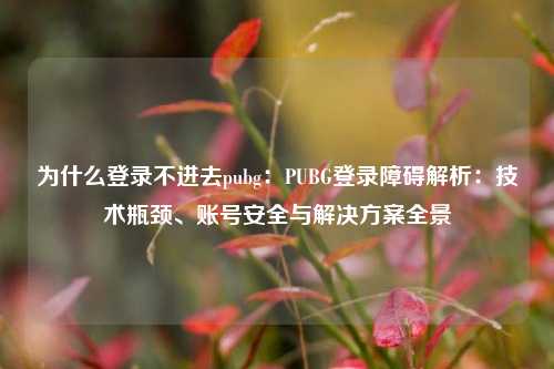 为什么登录不进去pubg：PUBG登录障碍解析：技术瓶颈、账号安全与解决方案全景