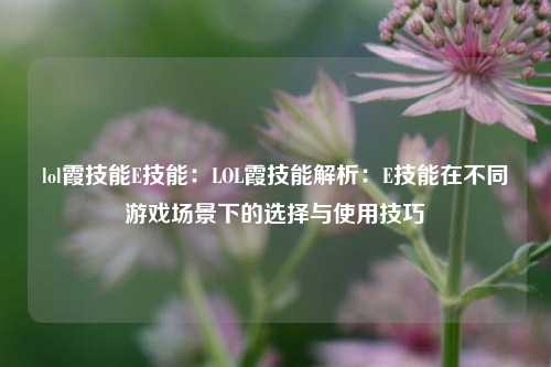 lol霞技能E技能：LOL霞技能解析：E技能在不同游戏场景下的选择与使用技巧