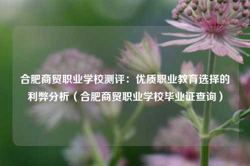 合肥商贸职业学校测评：优质职业教育选择的利弊分析（合肥商贸职业学校毕业证查询）