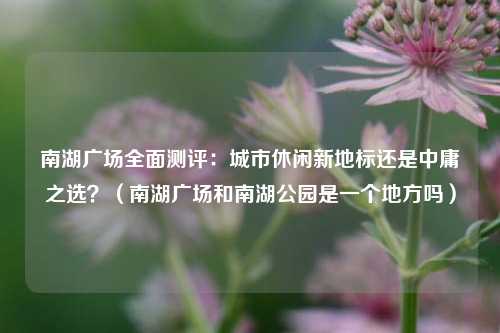 南湖广场全面测评：城市休闲新地标还是中庸之选？（南湖广场和南湖公园是一个地方吗）