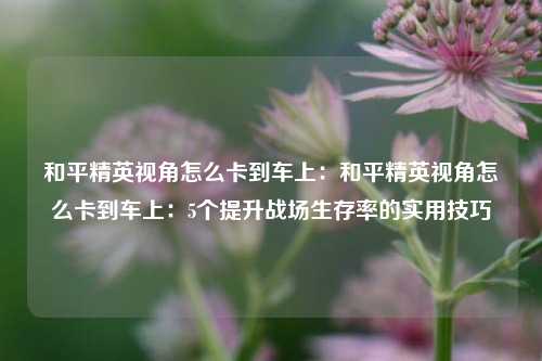 和平精英视角怎么卡到车上：和平精英视角怎么卡到车上：5个提升战场生存率的实用技巧