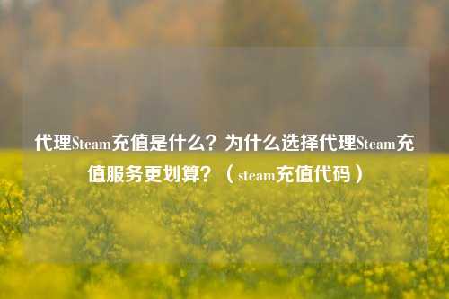 代理Steam充值是什么？为什么选择代理Steam充值服务更划算？（steam充值代码）