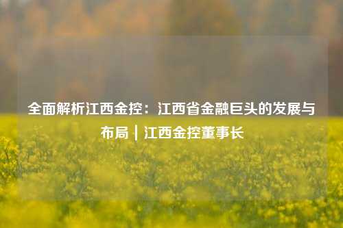 全面解析江西金控：江西省金融巨头的发展与布局｜江西金控董事长