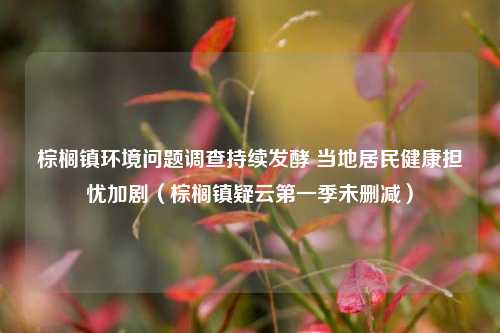 棕榈镇环境问题调查持续发酵 当地居民健康担忧加剧（棕榈镇疑云第一季未删减）