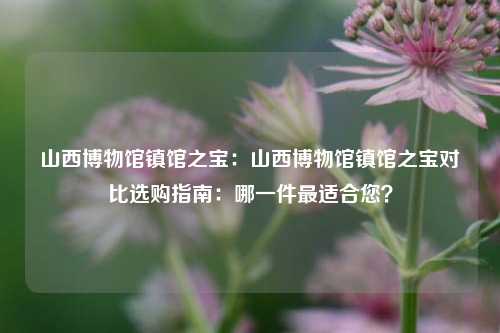 山西博物馆镇馆之宝：山西博物馆镇馆之宝对比选购指南：哪一件最适合您？