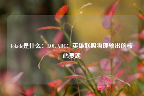 loladc是什么：LOL ADC：英雄联盟物理输出的核心灵魂