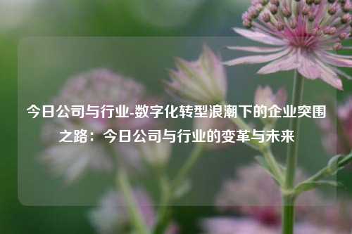 今日公司与行业-数字化转型浪潮下的企业突围之路：今日公司与行业的变革与未来