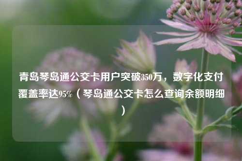 青岛琴岛通公交卡用户突破350万，数字化支付覆盖率达95%（琴岛通公交卡怎么查询余额明细）