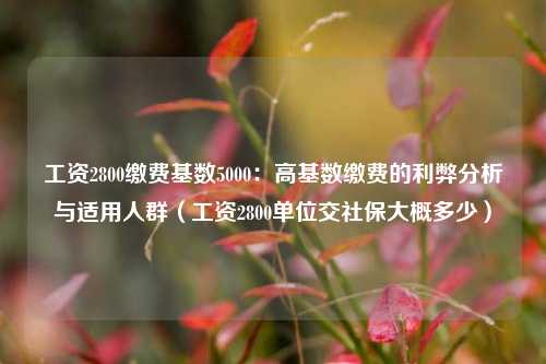 工资2800缴费基数5000：高基数缴费的利弊分析与适用人群（工资2800单位交社保大概多少）