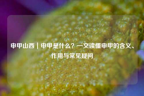 申甲山西｜申甲是什么？一文读懂申甲的含义、作用与常见疑问